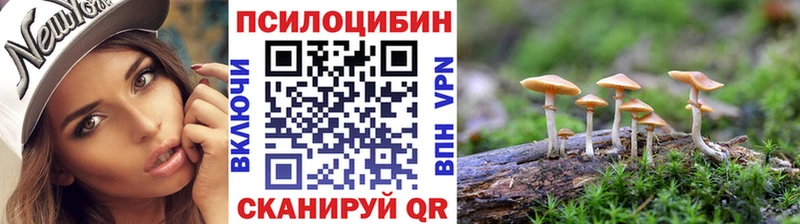 Псилоцибиновые грибы MAGIC MUSHROOMS  купить наркотики цена  Волхов 